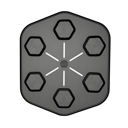 Roomboxing Smart Music Boxing Machine – Pro & Lite